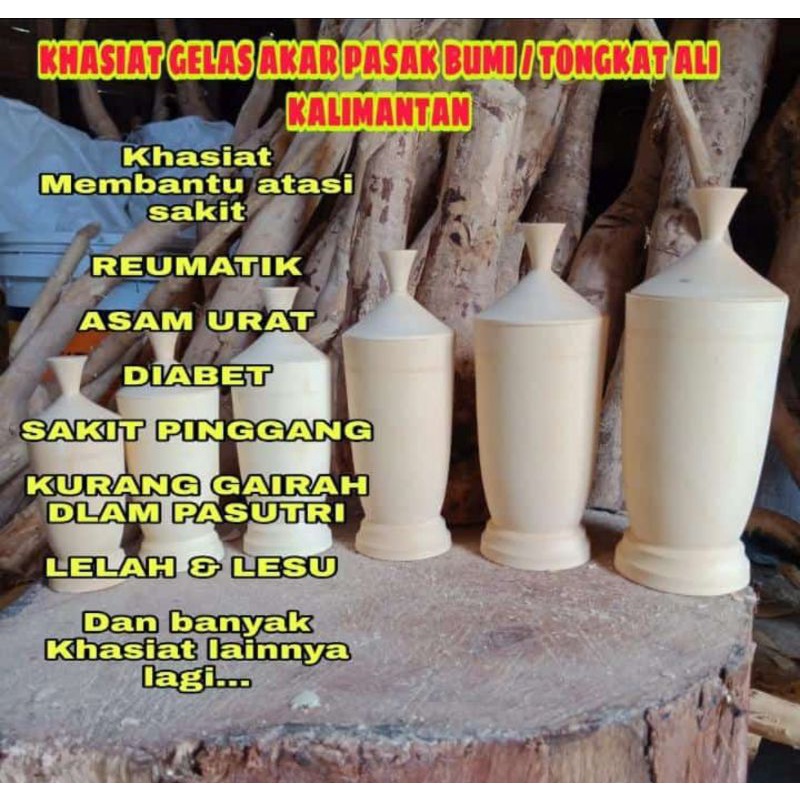 GELAS AKAR PASAK-BUMI