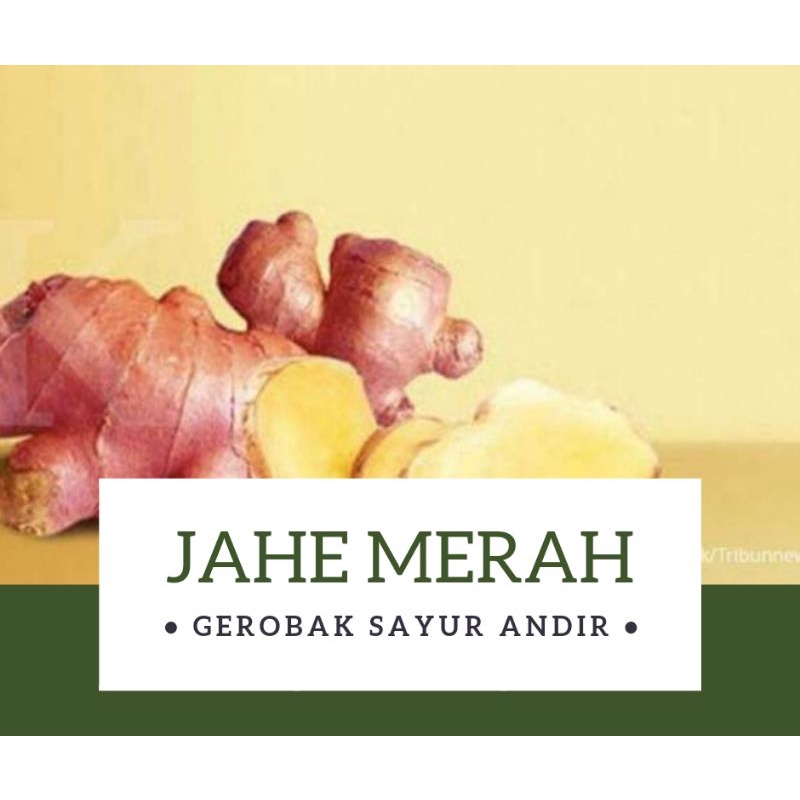 

Jahe Merah /500gr