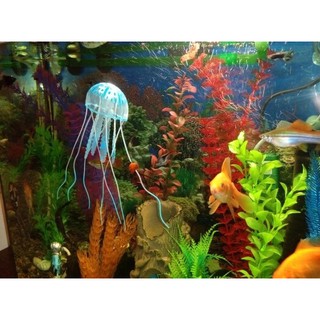 ANEMON HIASAN  MAINAN DEKORASI AQUARIUM  UBUR UBUR BESAR  