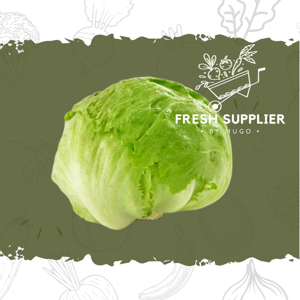 

Lettuce 250g Fresh Supplier