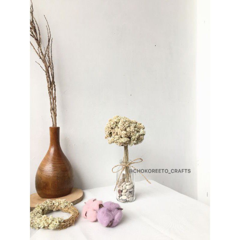 BUNGA KERING EDELWEISS/BAROCO + VAS KACA MINI POLOS + BATUAN