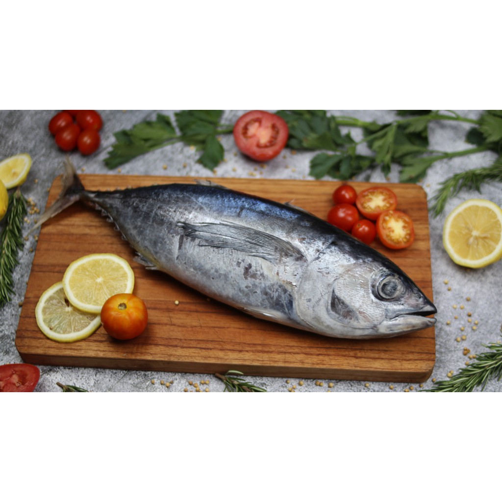

IKAN BABY TUNA SEGAR (Size 2-3 Ekor/kg - Beku Langsung Dari Kapal)