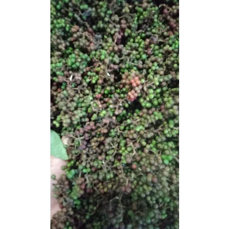 

ANDALIMAN SEGAR 1000gr
