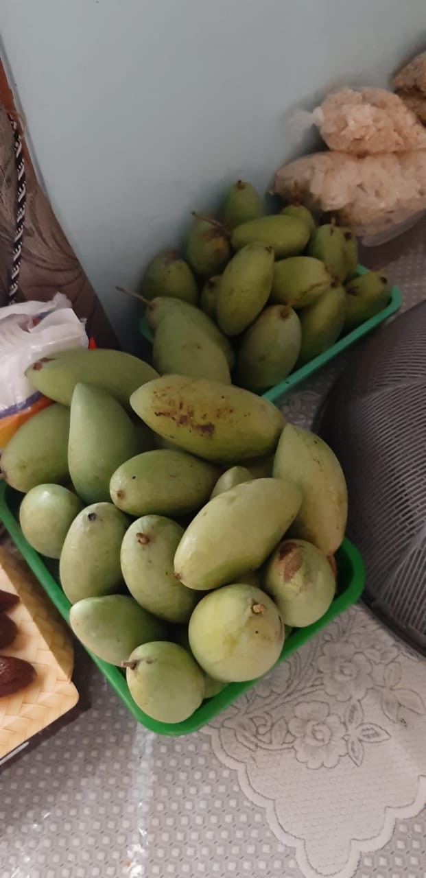 Alat Pemetik Buah Metal Fruit Picker Tanpa Tongkat