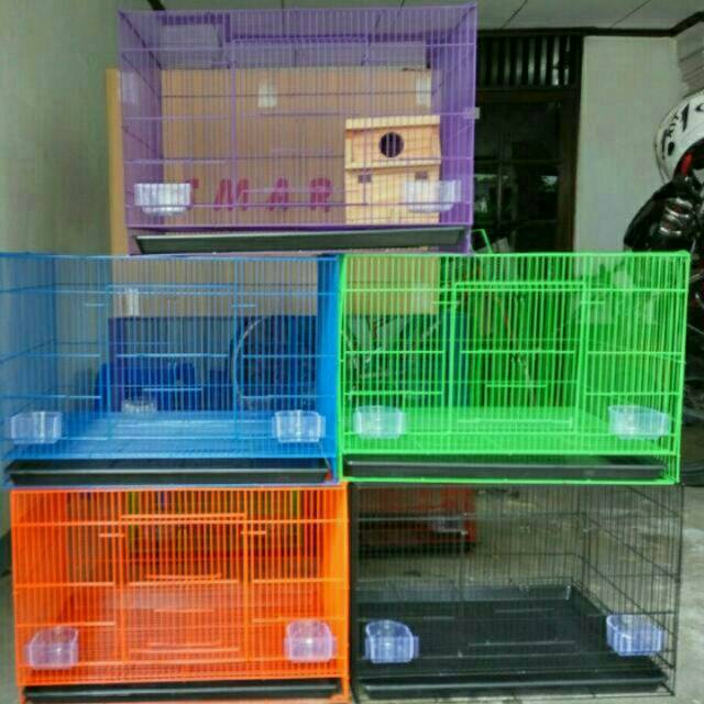 56 Gambar Desain Rumah Hamster Terbaru