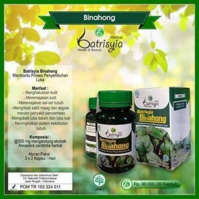 Ekstrak Daun Binahong Batrisyia