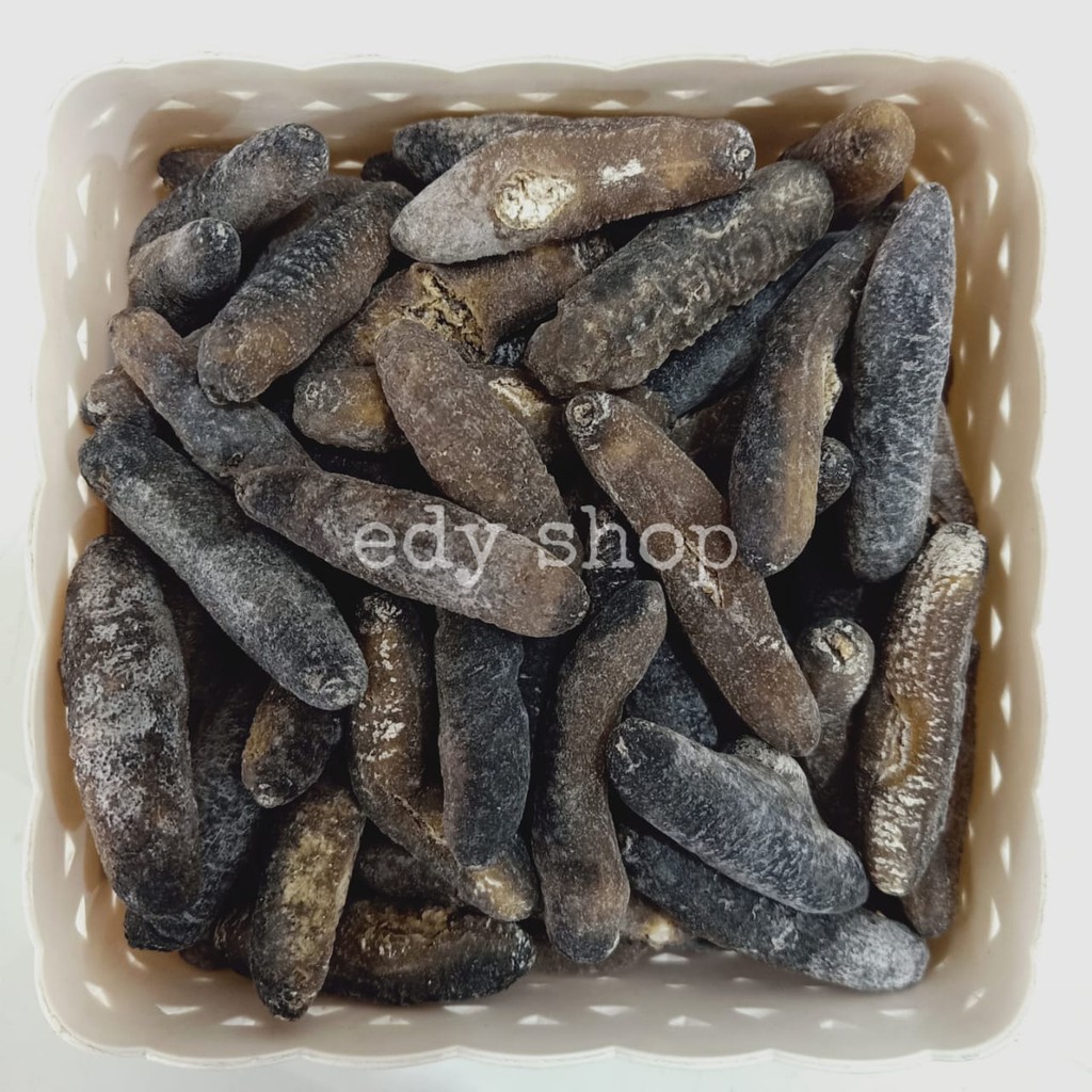 

100GR (18-20 EKOR) TERIPANG / HAISOM BAKAU / BELITUNG / TUKSOM KERING