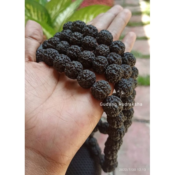 Kalung jenitri Hitam Besar premium