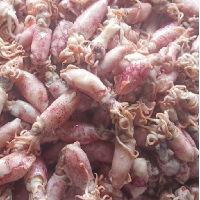 

ikan asin cumi beby 250grm super Miliki