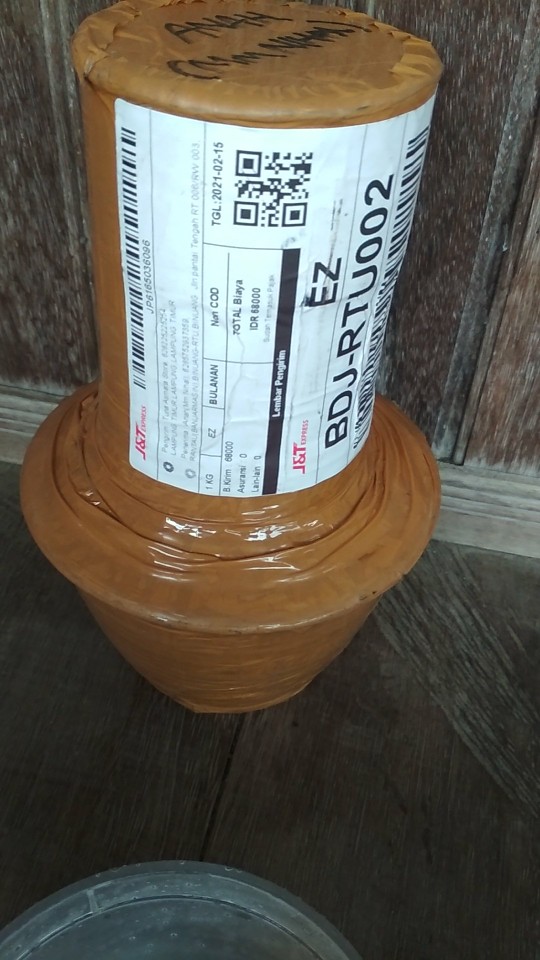 Bibit Aglonema Legacy Mangkok 2-3 Daun