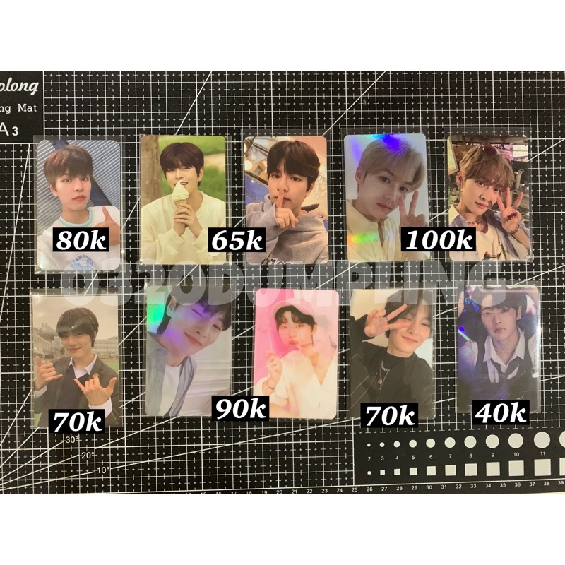 stray kids I.N, LEE KNOW, HYUNJIN, SEUNGMIN, BANGCHAN pc nacific, noeasy, go live, muplant, synnara