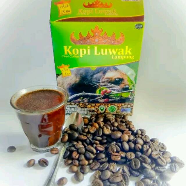 

Kopi Luwak Lampung