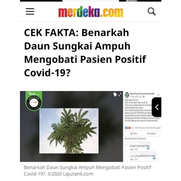 DAUN SUNGKAI SEGAR 500 GRAM