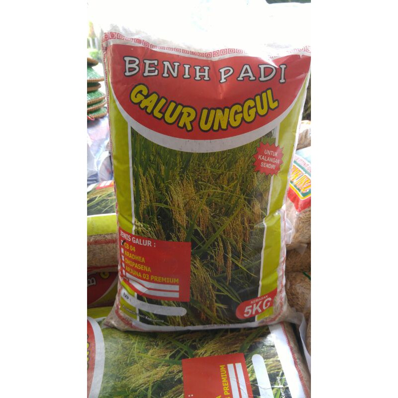 STOCK KOSONG Benih Padi Cakrabuana CB 04 Galur Unggul