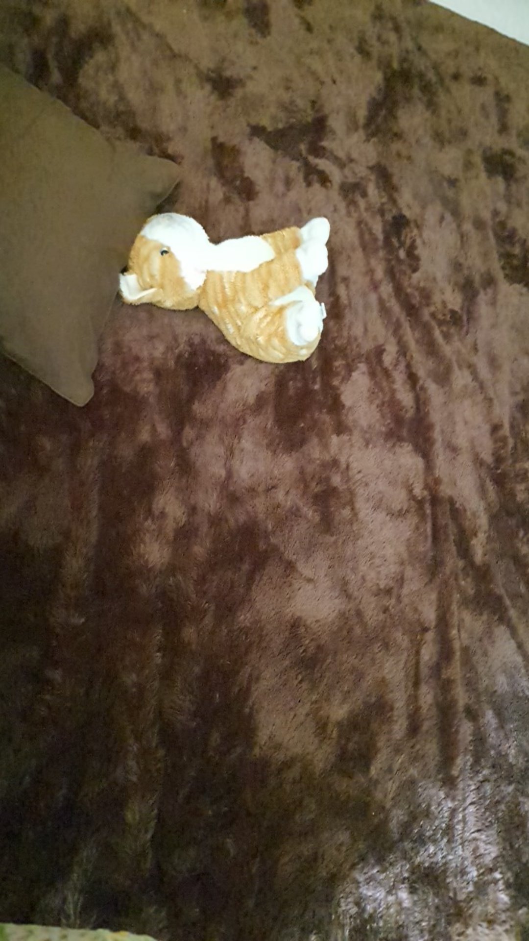 Cover Karpet Bulu Tebal 5cm D5 Ukuran 200x150cm