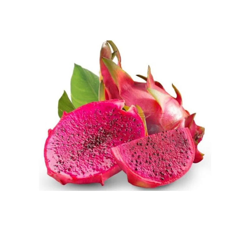 

buah naga merah fresh perkg