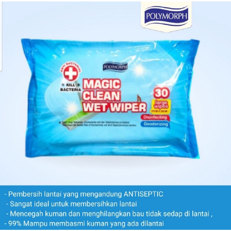 POLYMORPH SWEEPER /SAPU KERING /TONGKAT PEL FREE 10lbr TiSU KERING PEMBERSIH LANTAI /MAGIC CLEAN DRY