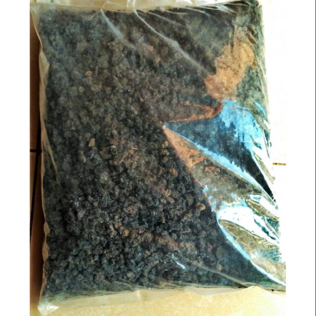 Jual Pasir Malang Kasar Gravel Media Tanam Aquascape Kg Indonesia Shopee Indonesia