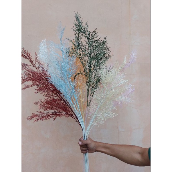 daun asparagus, atau daun cemara atau daun smoke brush