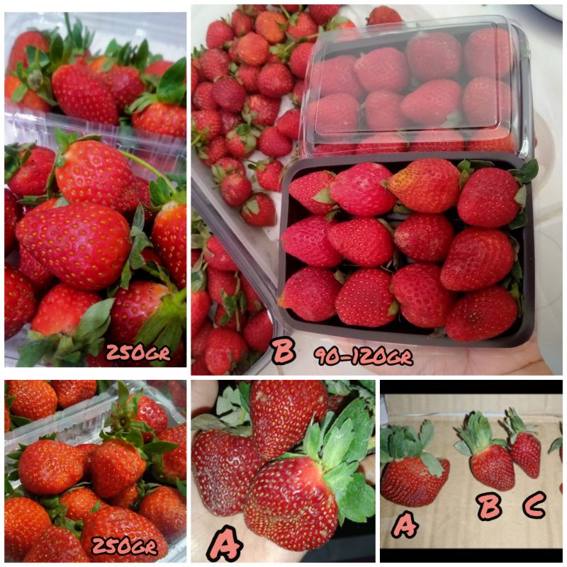 

Strawberry kelly brigt