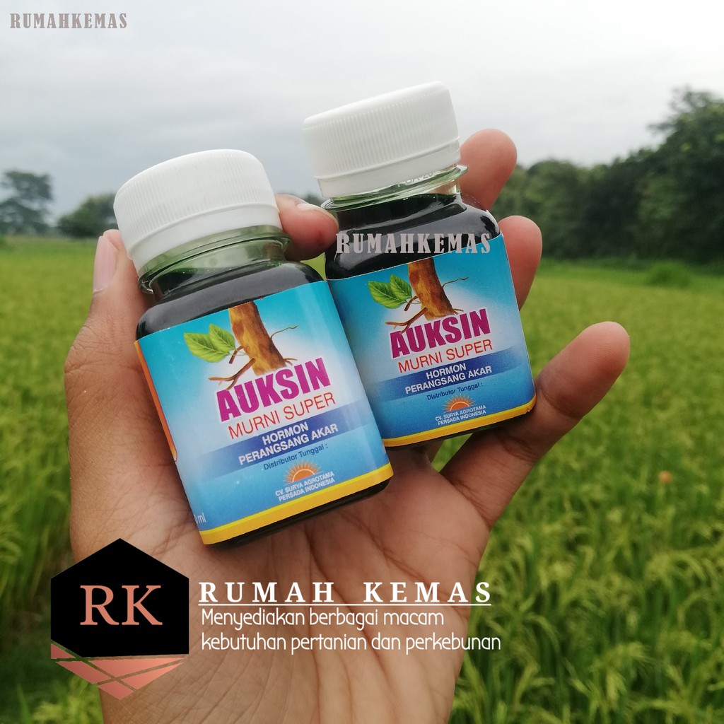 [ COD ] Auksin Hormon perangsang akar AUKSIN kemasan 60ml