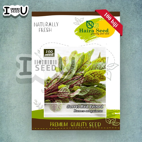 Haira Seed Bibit-Biji Sorrel Red Veined