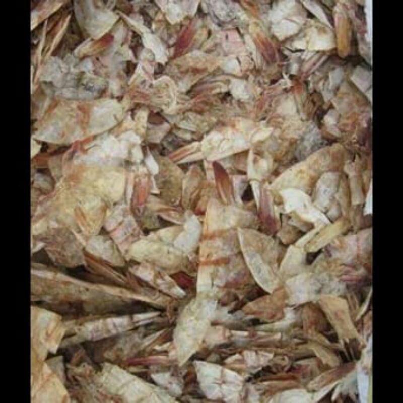

Kulit Udang kering