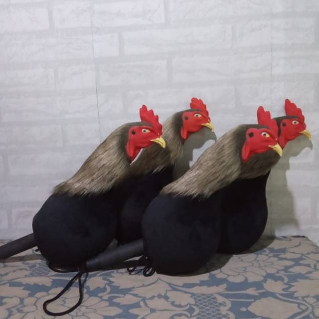 850 Koleksi Gambar Burung Kepala Ayam HD