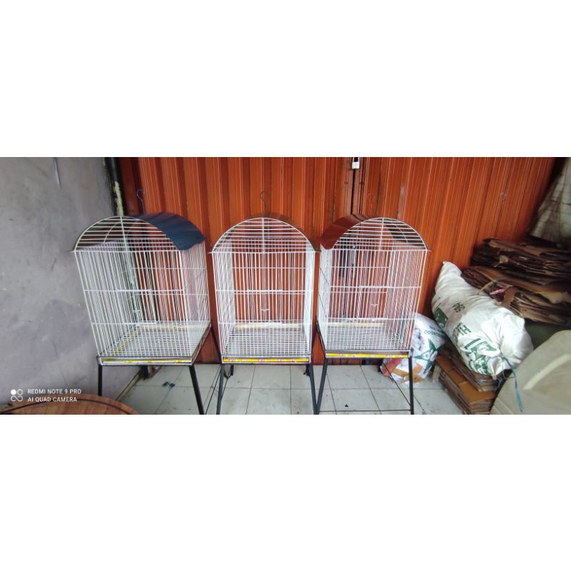 sangkar burung jalak nuri beo kandang burung