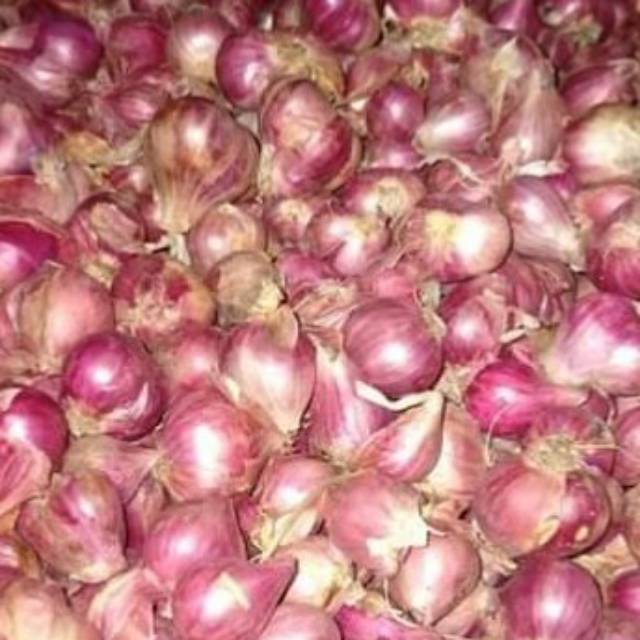 

Bawang merah