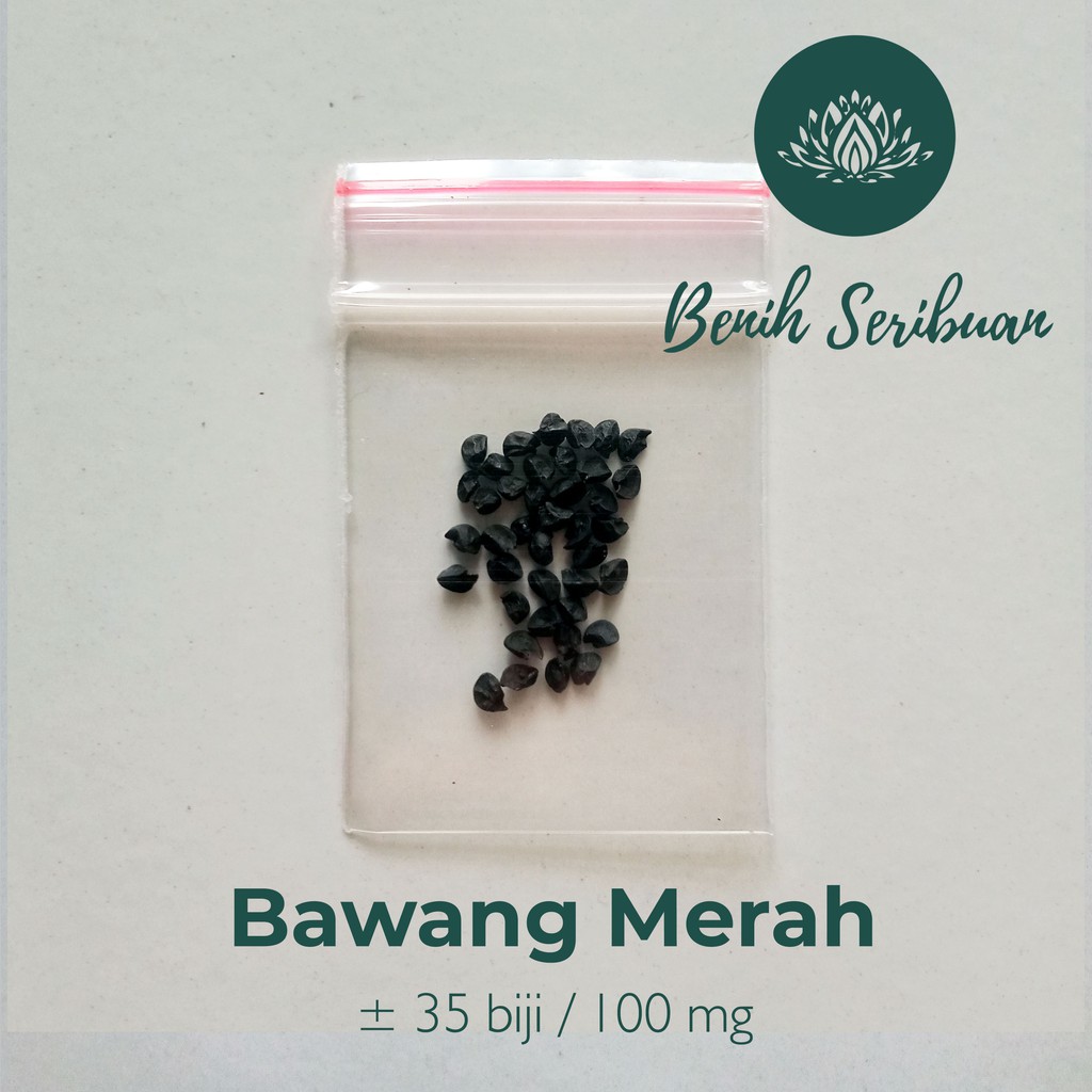 35 Bibit Bawang Merah Lokananta Cap Panah Merah - Benih Tanaman Sayur Sayuran Seribuan