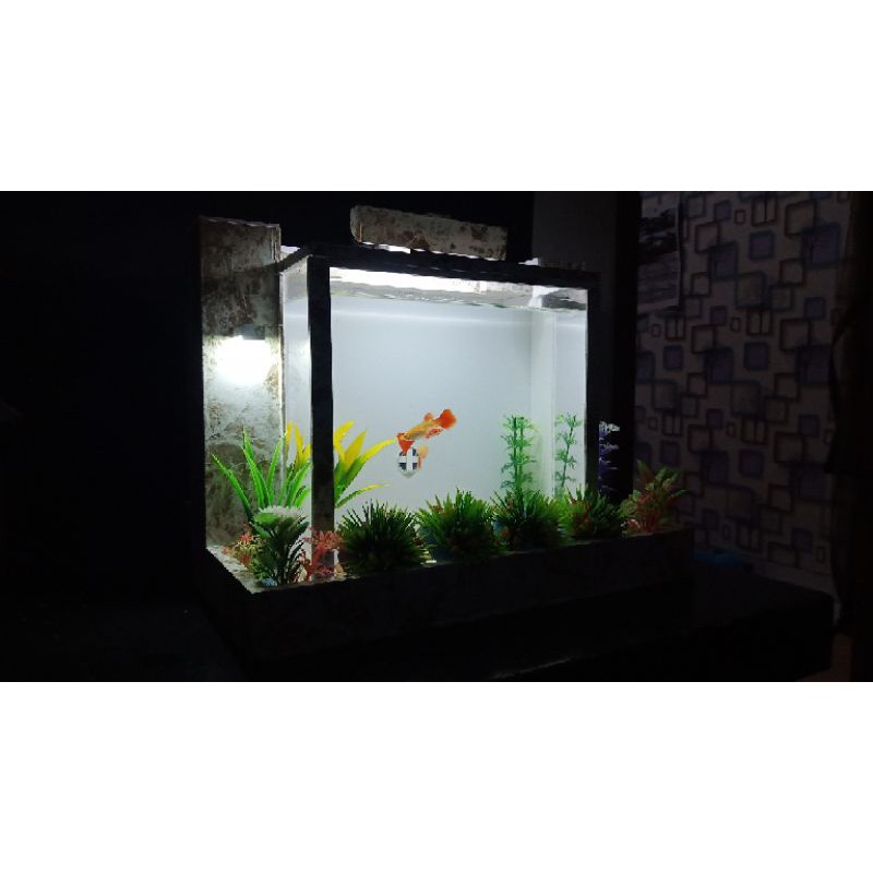 Akuarium mini pvc akrilik dan soliter ikan cupang dan ikan hias