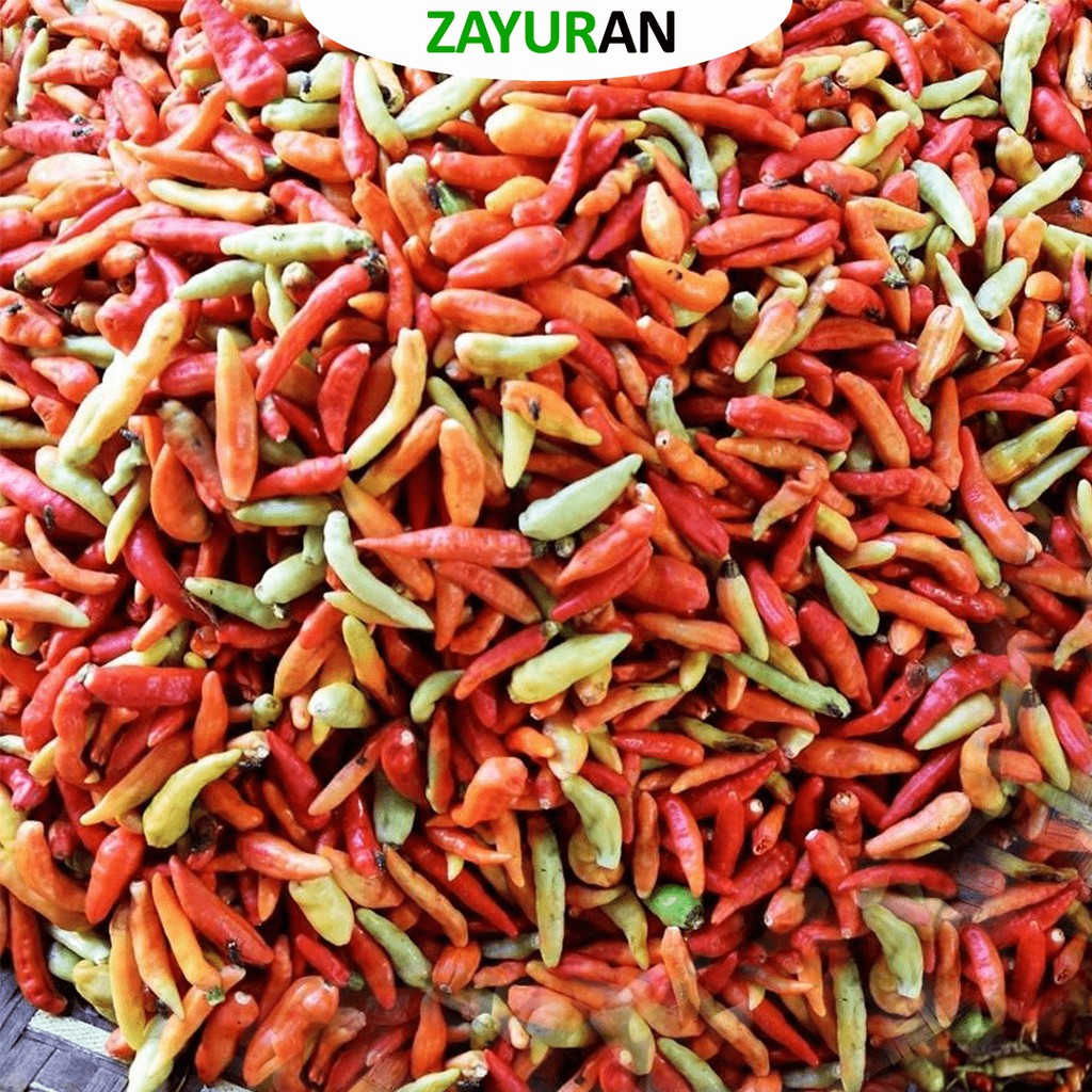 

Cabai Rawit Merah | Cabe Rawit Merah | Zayuran