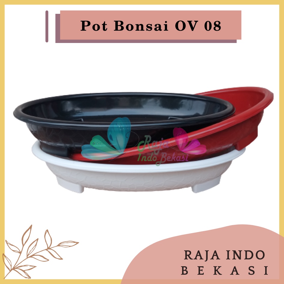 Ori Bjp Bonsai Oval Ov 08 Putih Hitam Merah Bata Coklat Pot Bunga Plastik Bonsai Budi Jaya Motif Batu Alam Ceper PendekPot Bonsai Plastik Keramik Semen Bonsai Mame Kelapa Besar Mini