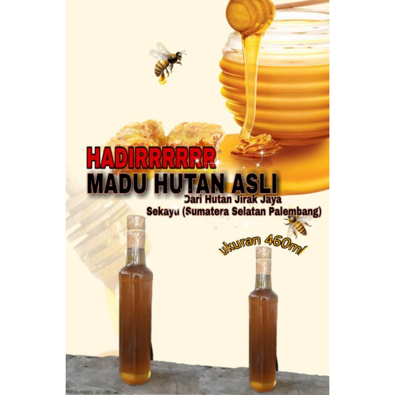 

madu hutan asli