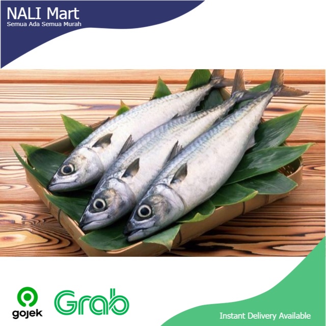 

Ikan Tongkol Sisik Ikan Segar Sayur Online 1KG