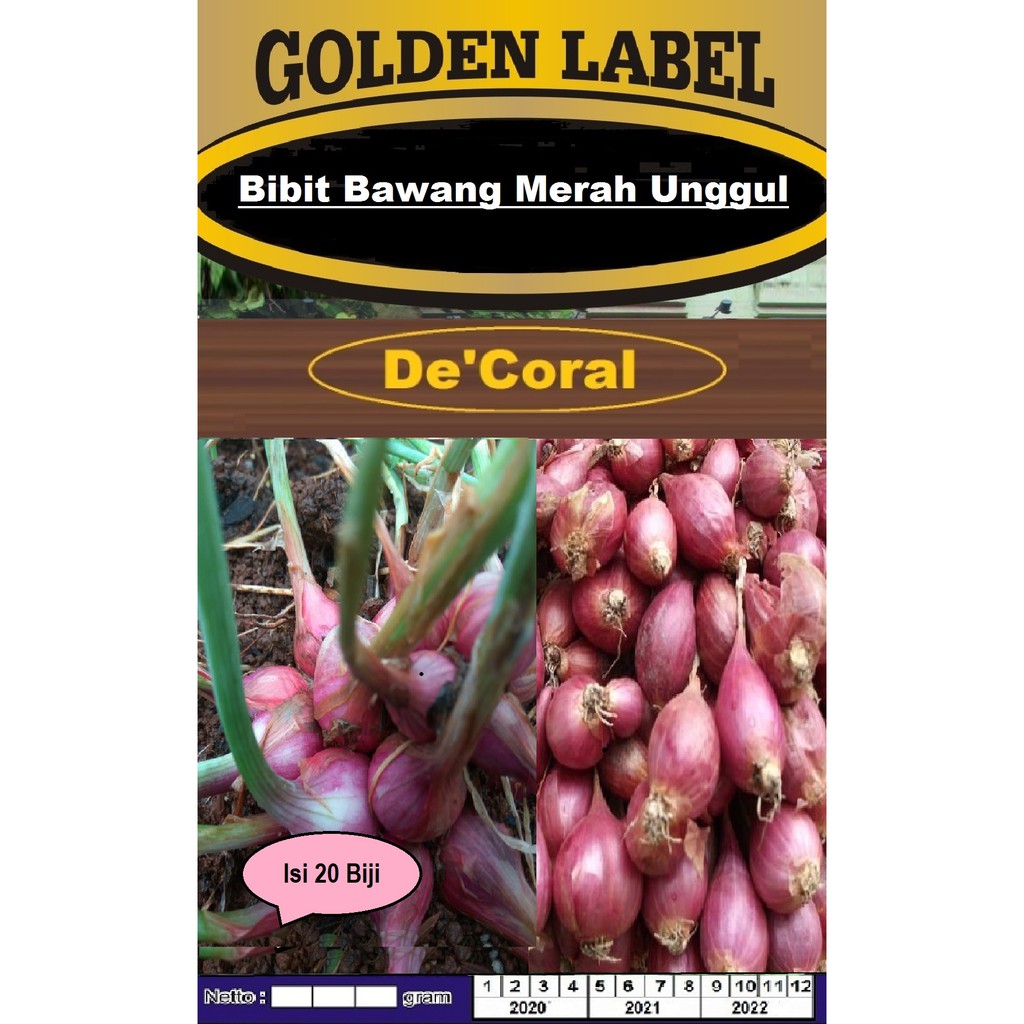 Bibit Bawang Merah Unggul | Bibit Bawang