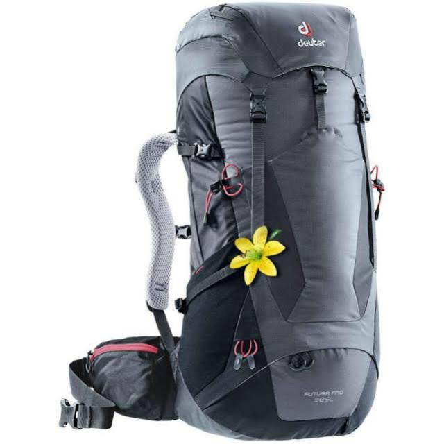 Deuter futura pro 38SL Original