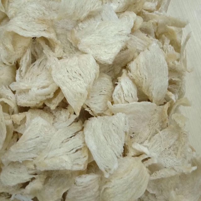 Sarang Iler Burung Walet 100 Gram Shopee Indonesia