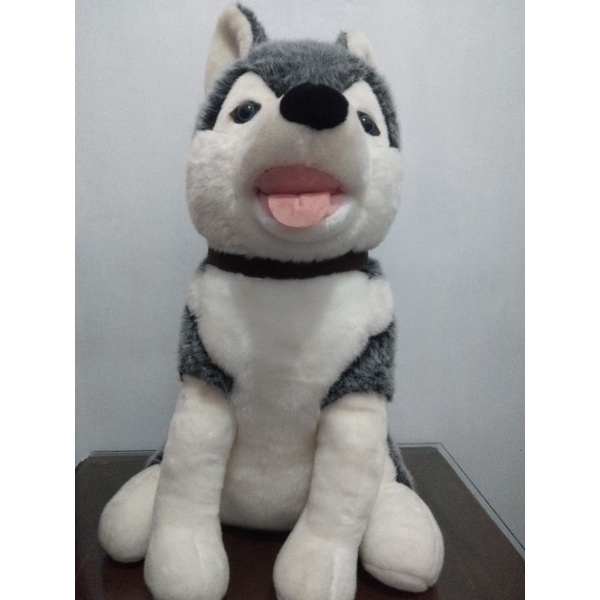 (pl) boneka guguk husky jumbo