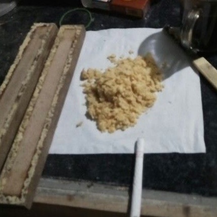 telur lalat magot bsf 30gram