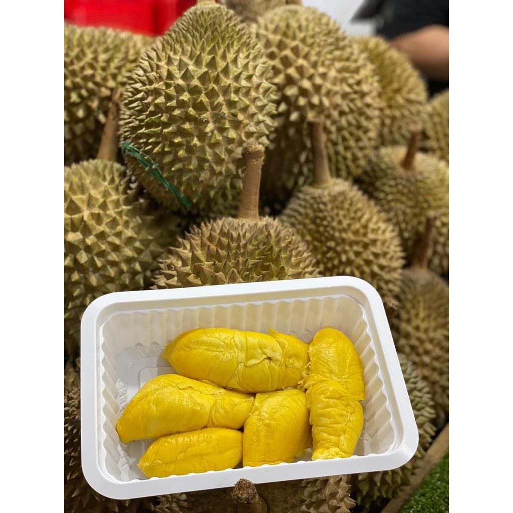 

Musang King Durian Pahit / Black Gold Bitter MSW