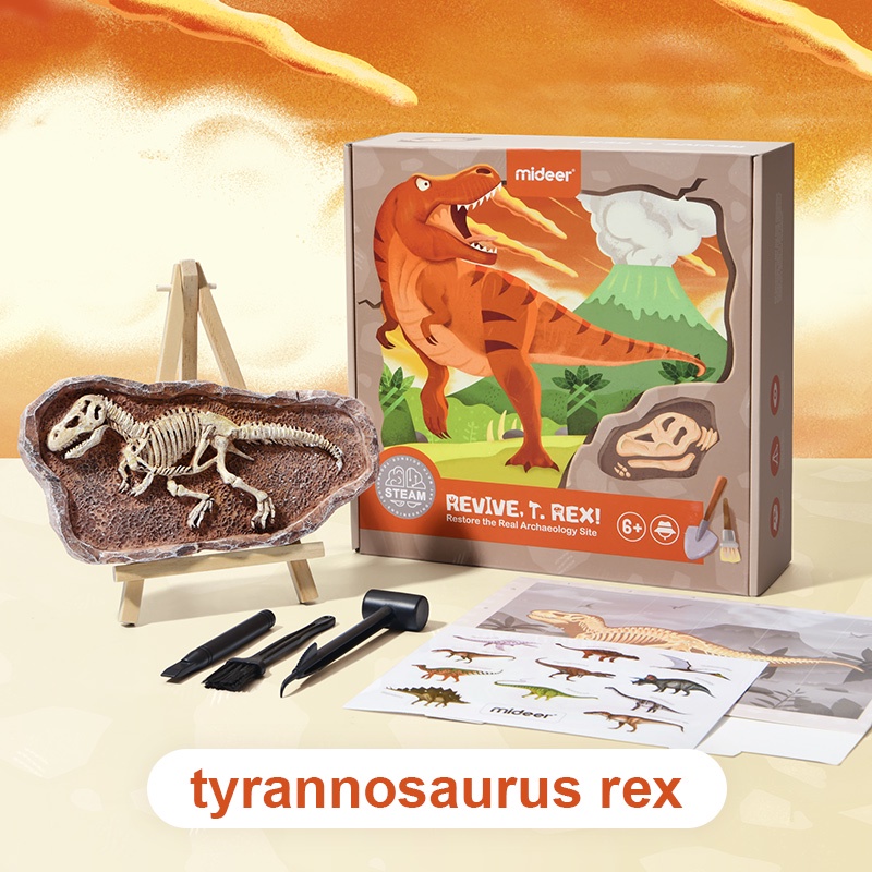 TweedyToys - Mideer Steam Arkeolog / Mideer Steam Games Revive Fossil Dinosaurus / Mainan Edukasi Anak