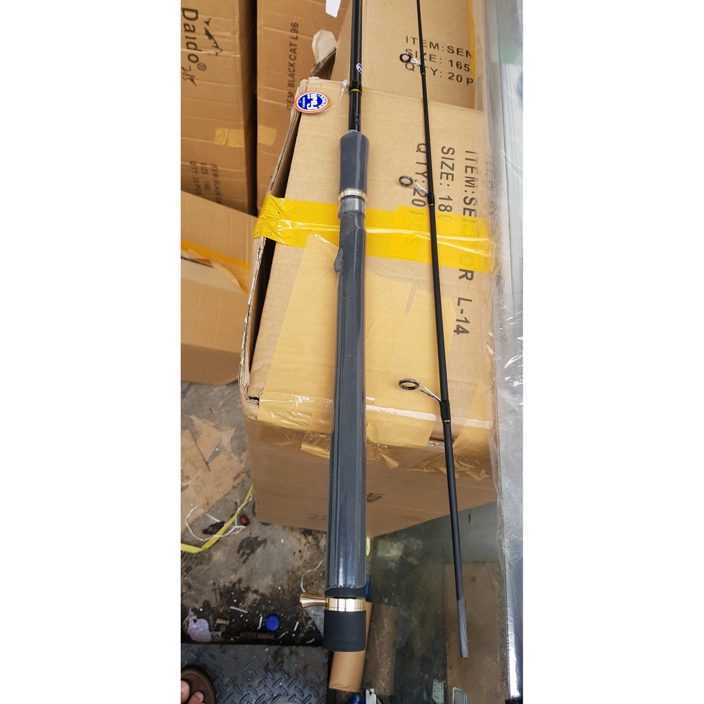 Joran Loomis Senator 165