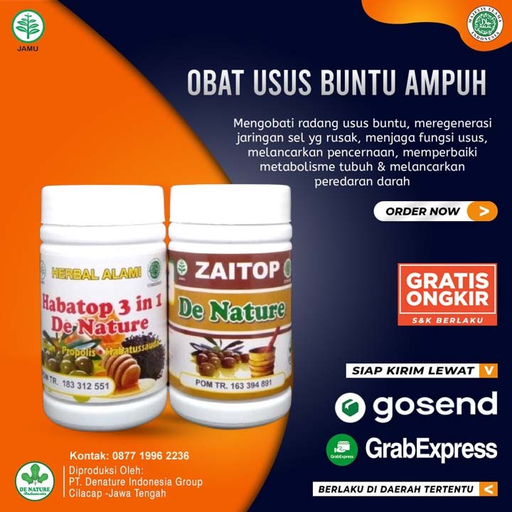 Obat Radang Usus Buntu Herbal Alami Ampuh Zaitop Habatop De Nature
