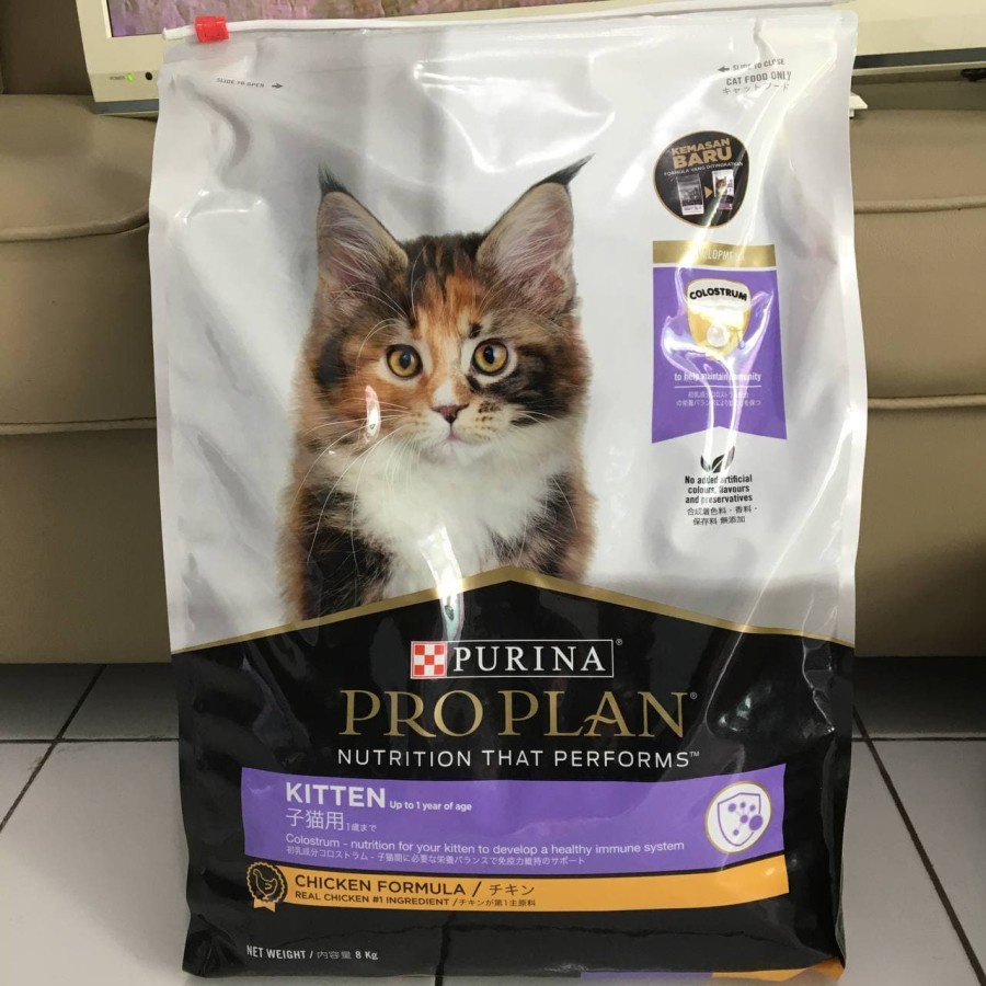 Proplan Kitten Chicken 8kg - Makanan Anak Kucing