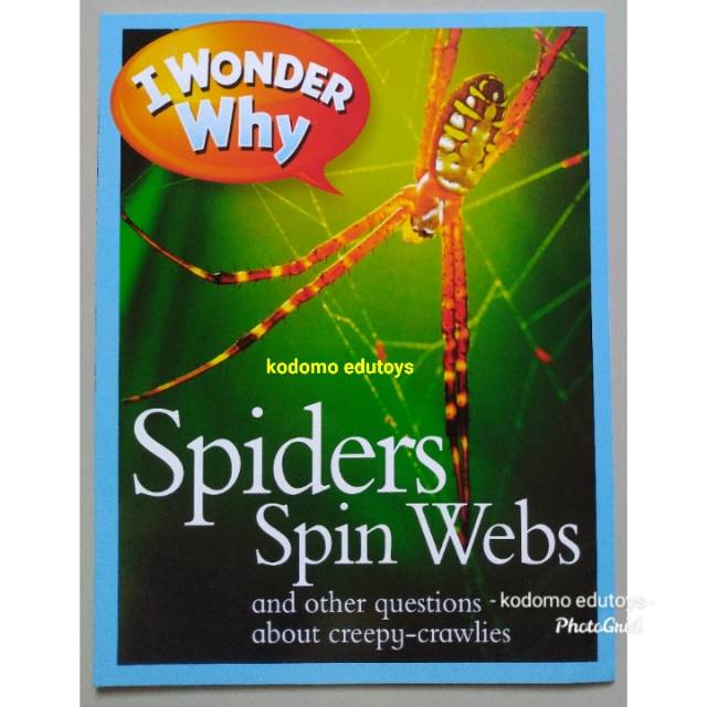 I Wonder Why Spiders Spin Webs and other questions about creepy-crawlies