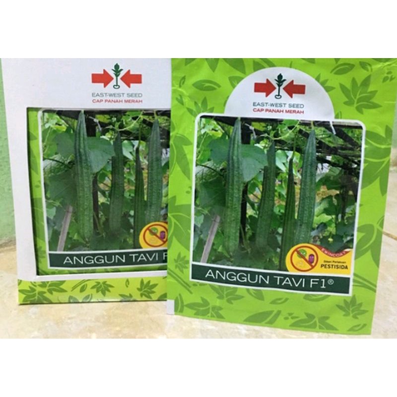 Benih Oyong Gambas anggun tavi isi 75 Butir
