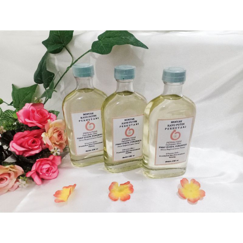 Minyak Kayu Putih Perhutani