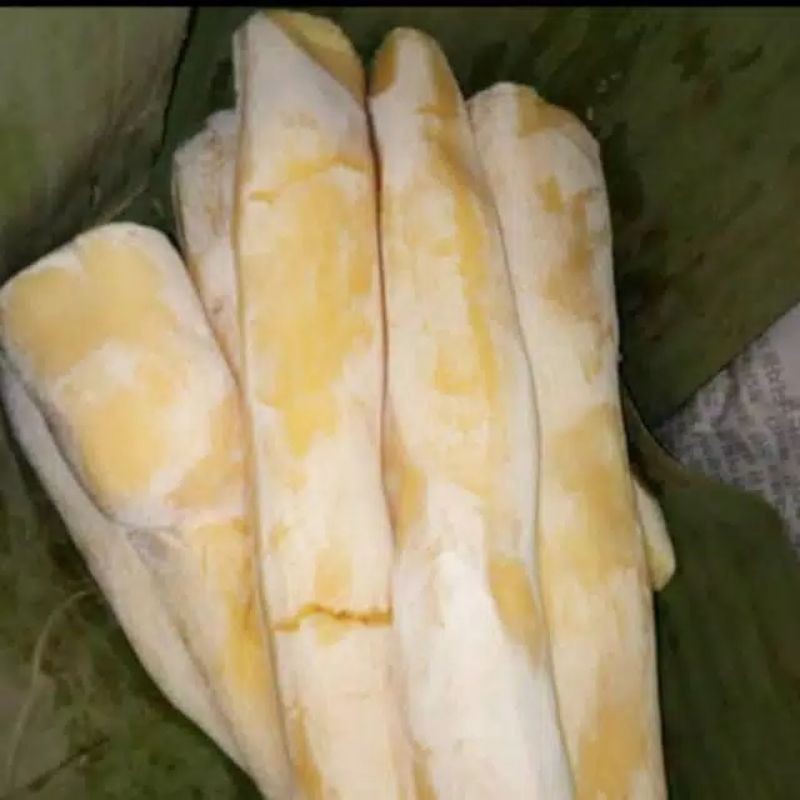 

TapeSingkong/PeuyeumSampeu/PeuyeumSingkong